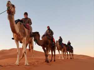 Sahara Desert