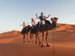 camel-trekking